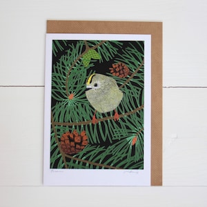 Goldcrest - Grußkarte handbetitelt und signiert