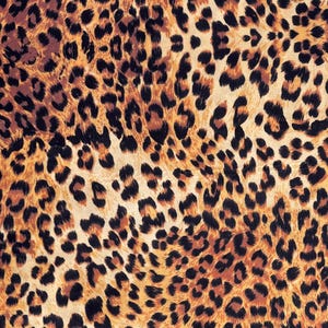 High quality animal pattern velvet fabric with detailed leopard spots for maximalist home styling.