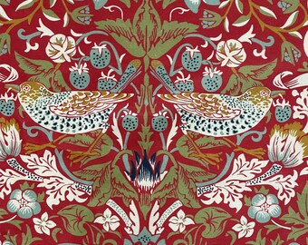 Tutto Per Il Cucito, Tessuto Di Cotone Dan Morris Design 2019 For QT - Foto 7