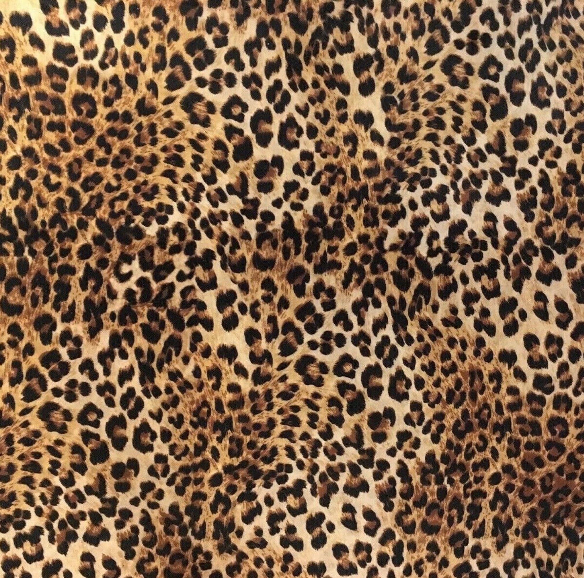 Buy Fine Decor Furs Leopard Animal Print Wallpaper Natural Orange / Black