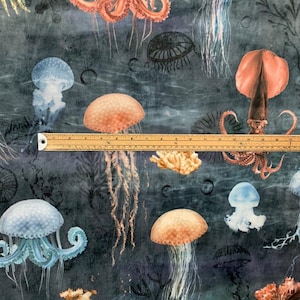 Velvet Octopus Underwater Sea Life Creatures Corals Cuttlefish Seaweed Wave Grey Blue Orange
