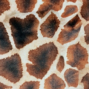 Giraffe Printed Italian Velvet Animal Skin Fabric Sold by Metre