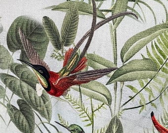 Hummingbirds Jungle / Printed Cotton Fabric sold by Meter / Botanical Pattern