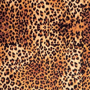 Animal print velvet furnishing fabric featuring realistic leopard pattern for home decor and upholstery projects.