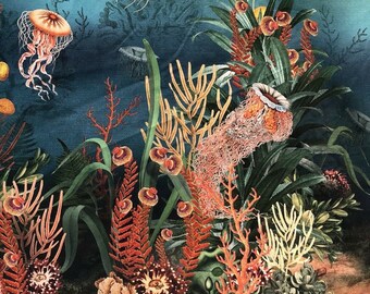 Sea World Tropical Fish Jellyfish Coral Squid Underwater Fabric Panel of L130cm 