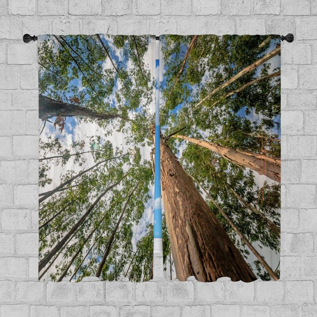 Tall Trees Window Curtain Nature Curtains Forest Curtain Etsy