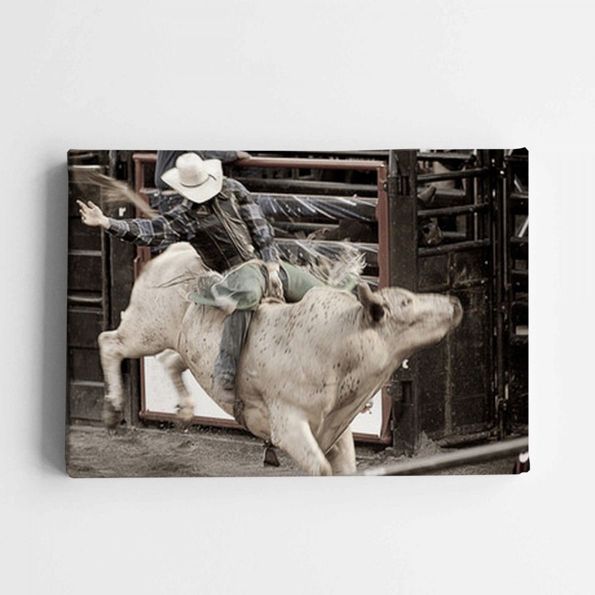 Rodeo Bull Painting - Etsy