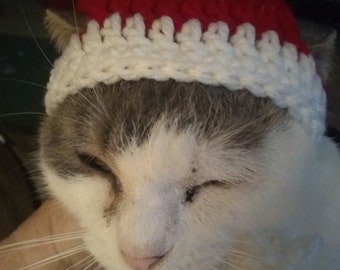 Pet beanie  pet hats