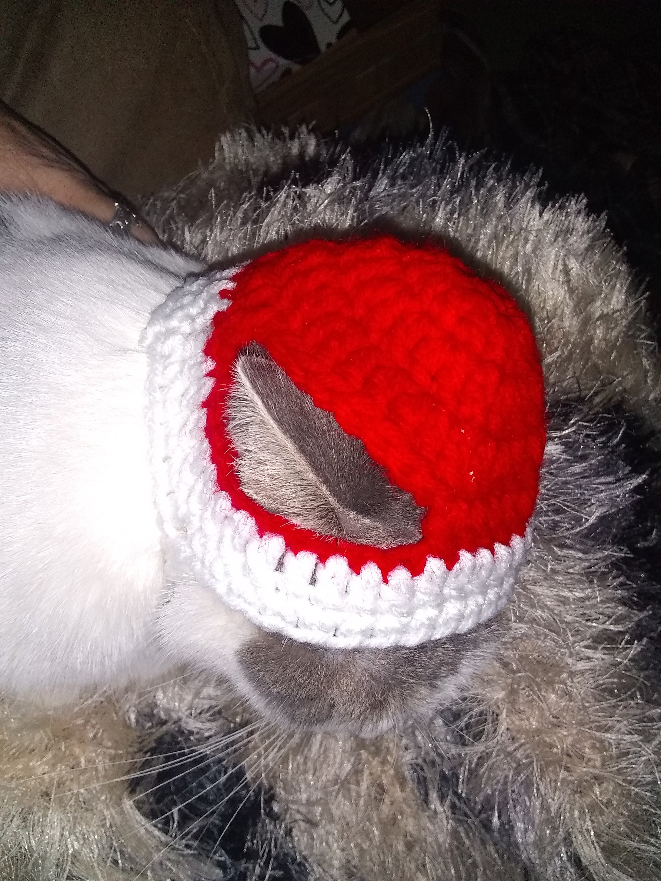 Sombreros de mascota gorro de mascotas Etsy México