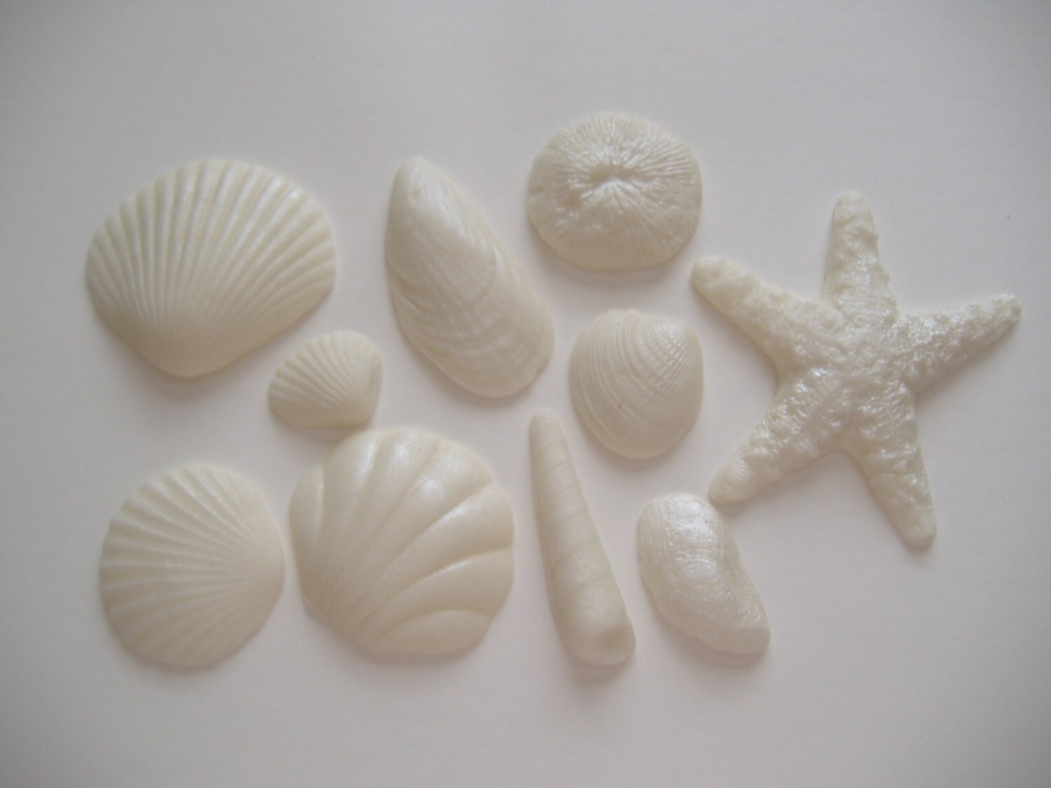 Sea Shells assorted Fondant Shells for Cakes and Cupcakes Etsy