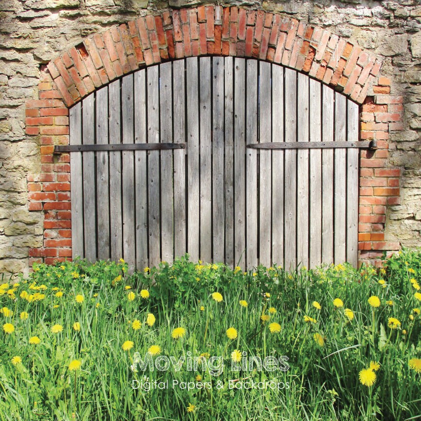 Barn Door Backdrop Wood Background Newborn Photography Etsy