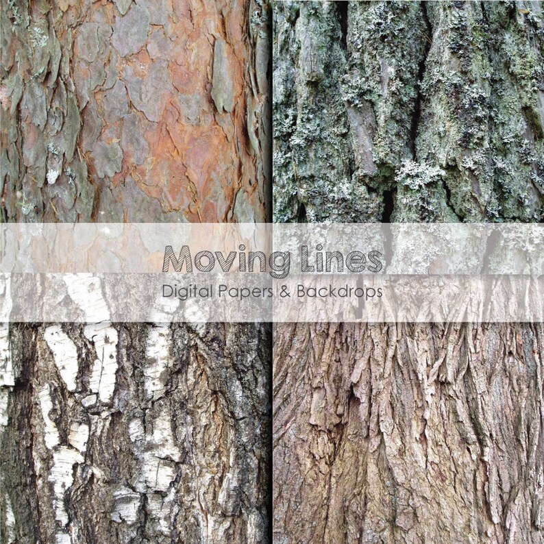 Tree Bark Digital Papers Wood Overly Forest Woods Etsy UK