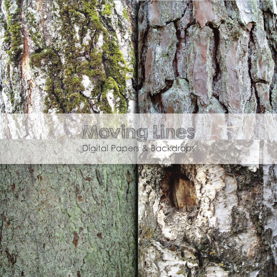 Layers of bark image