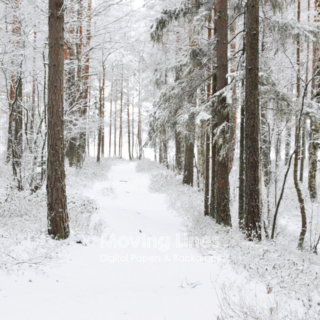 Winter Wonderland Digital Backdrop, Winter Forest Printable Photo ...