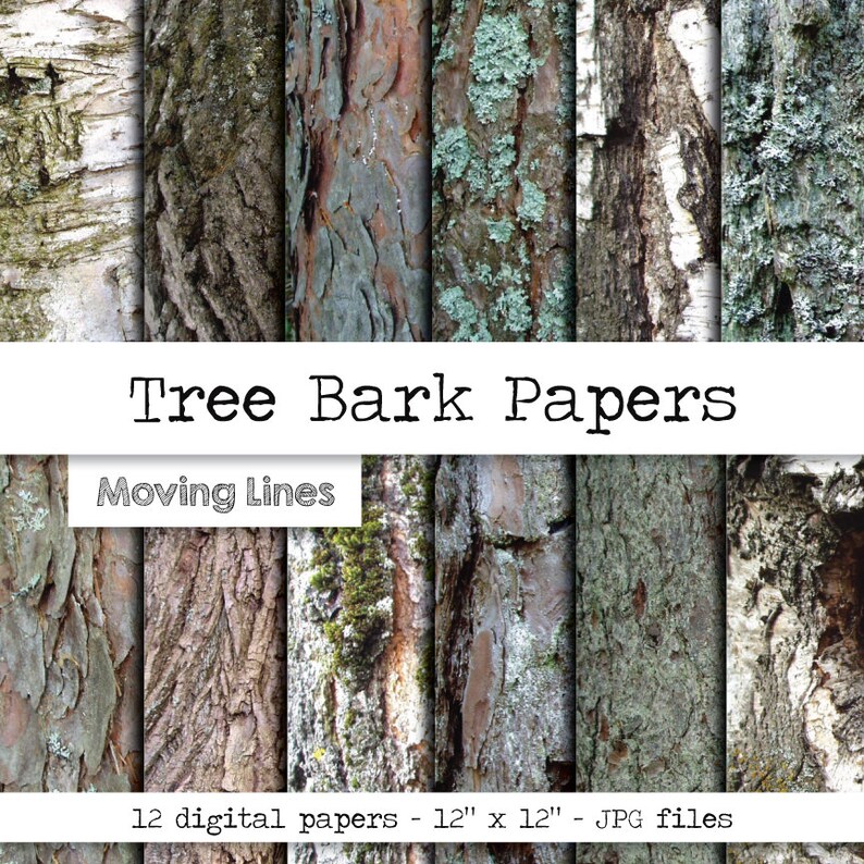 Tree Bark Digital Papers Wood Overly Forest Woods Etsy UK