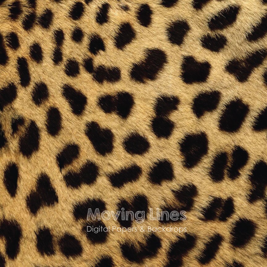 Cheetah Print Digital Paper Real Leopard Pattern Animal - Etsy UK