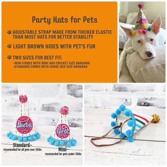 Girl Birthday Hat Dogs First Birthday DOG Birthday Hat Peach/Pink