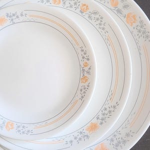 May include: A set of three round white plates stacked in descending order of size. Each plate features a delicate floral pattern with soft peach-colored blossoms and thin grey leafy vines, accented by fine grey circular lines along the rim.