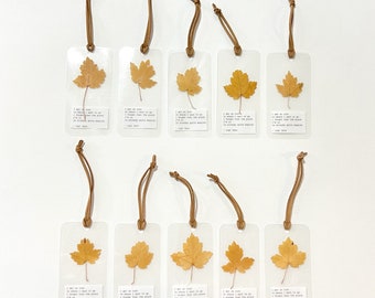 Pressed leaf bookmark