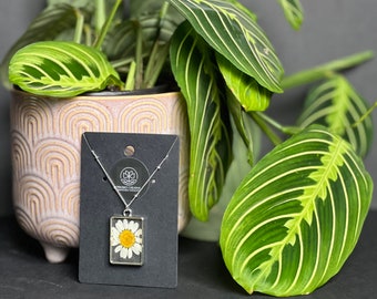 Alaskan Daisy Pressed Flower Resin Pendant Necklace