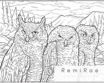 Download Owls Coloring Pages Etsy