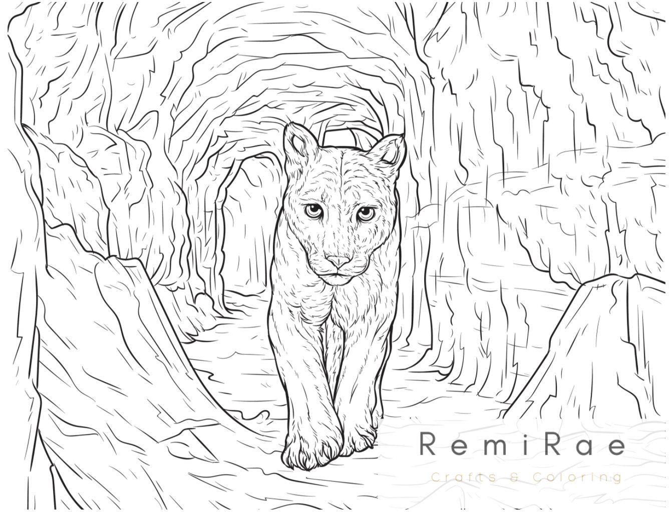 Mountain Lion Coloring Page. Real life Coloring Pages. Adult | Etsy