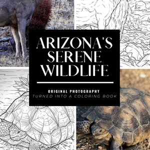 Arizona&#39;s Serene Wildlife Coloring book. Original Photography. Physical Copy. Adult & Children&#39;s Coloring book. Coloring Page.