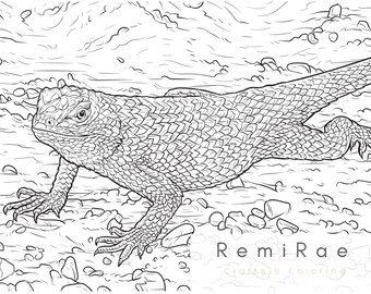 s Bearded Dragon Lizard Coloring Pages  Best Free