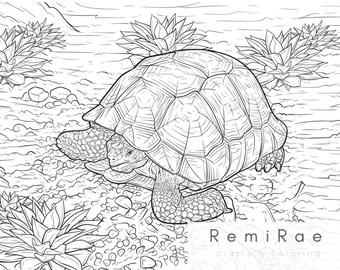 turtle coloring page etsy