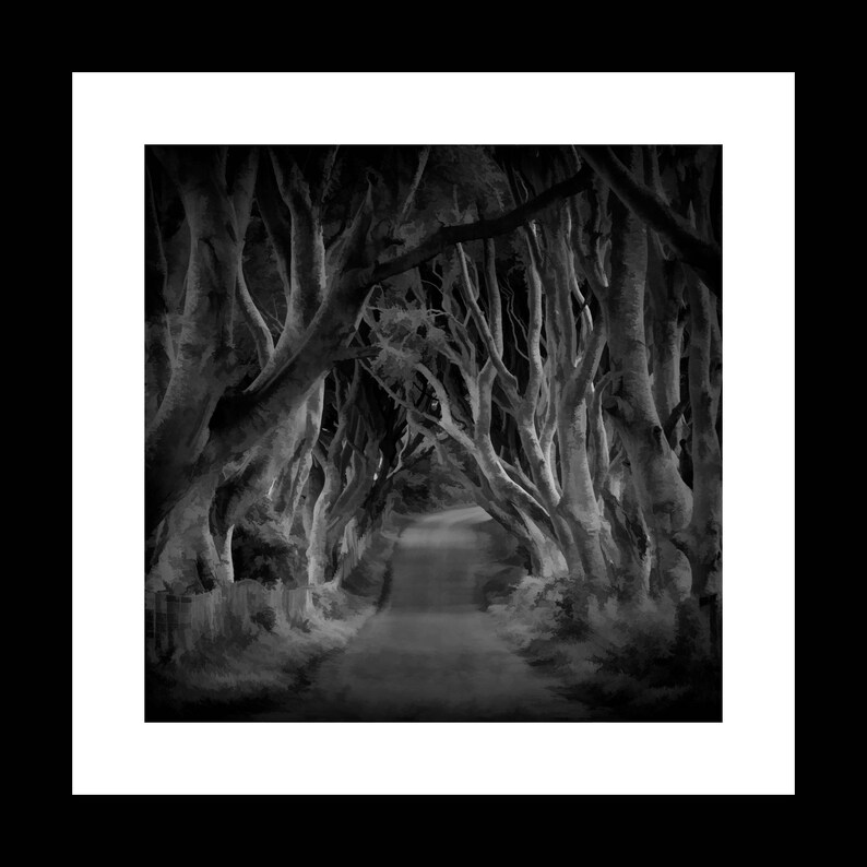 Fine Art Photography Ireland the Dark Hedges Etsy