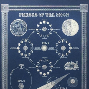 Moon Phase Vintage Illustration Inspired Letterpress Print 12.5x16.5 image 3