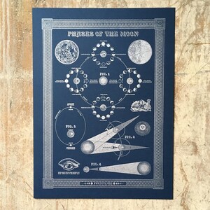 Moon Phase Vintage Illustration Inspired Letterpress Print 12.5x16.5 image 1