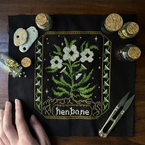 Henbane Poisonous Plants Cross Stitch Pattern / witchy / cottagecore / moody floral / witchy / pagan / medicinal / spooky season / creepy