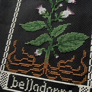 May include: A black and white cross-stitch design of a plant with green leaves and purple flowers. The plant is labeled "belladonna".