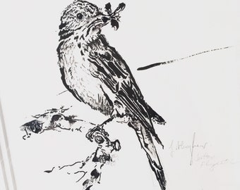 Flycatcher Original bird artwork in black Indian ink. Mounted and framed in ash wood