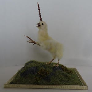 Può includere: Un pulcino bianco imbalsamato con un corno a spirale marrone sulla testa, in piedi su una base erbosa verde in una cornice dorata.