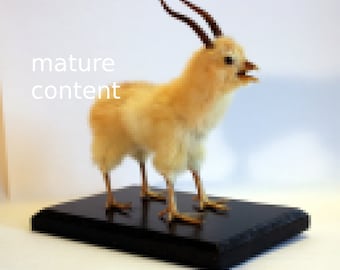 Made to order. Four legged gazelle chicken taxidermy curiosity by Casper's Creatures  mature