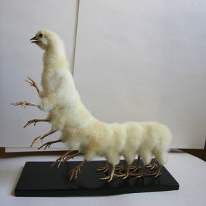 Può includere: Un pollo bianco e soffice imbalsamato con più zampe e un corpo lungo e segmentato. Il pollo è posto su una base di legno nero.