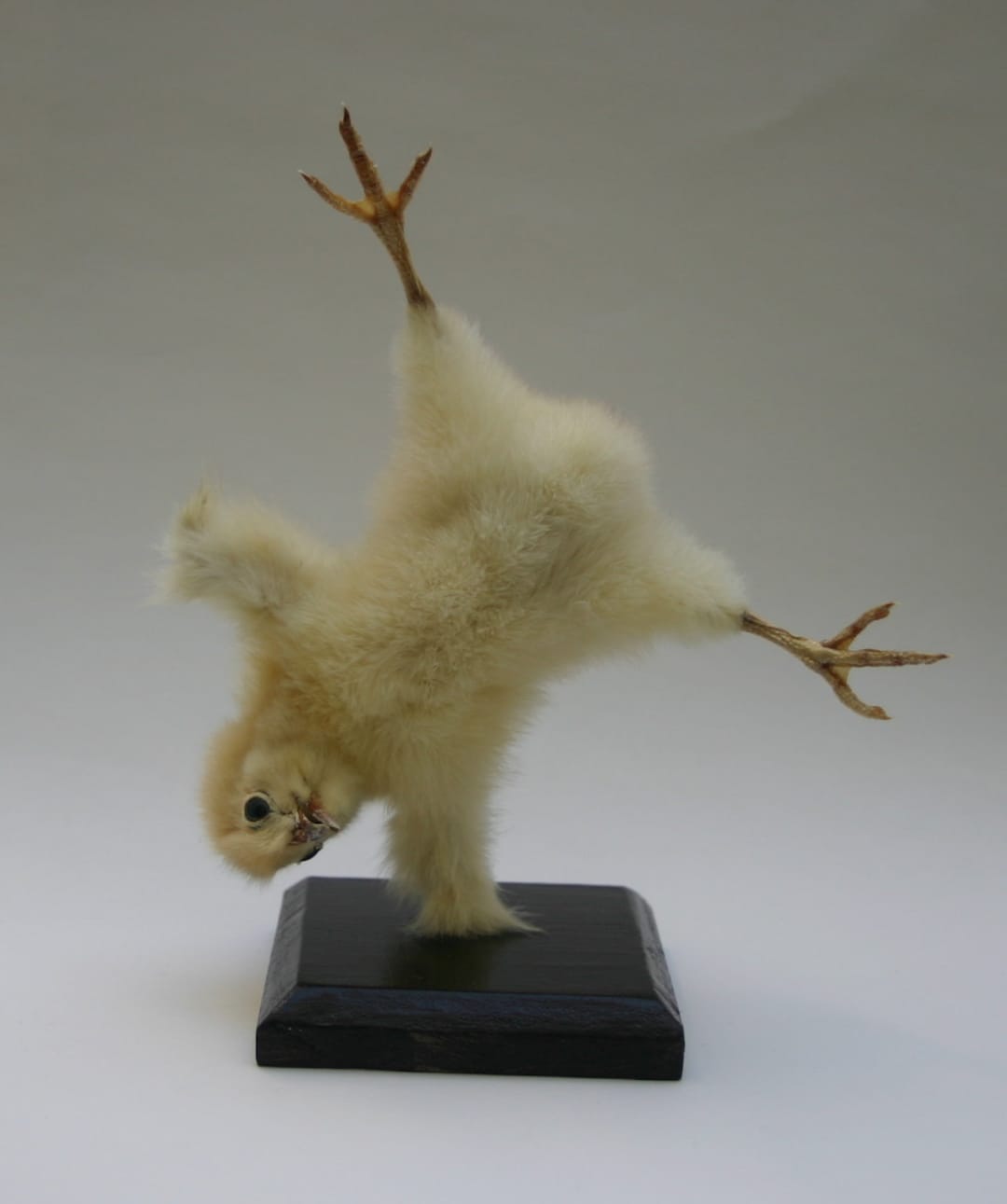 www.etsy.com
