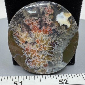 Priday Plume Agate polished cab 1 - High Quality - AAA - Central Oregon