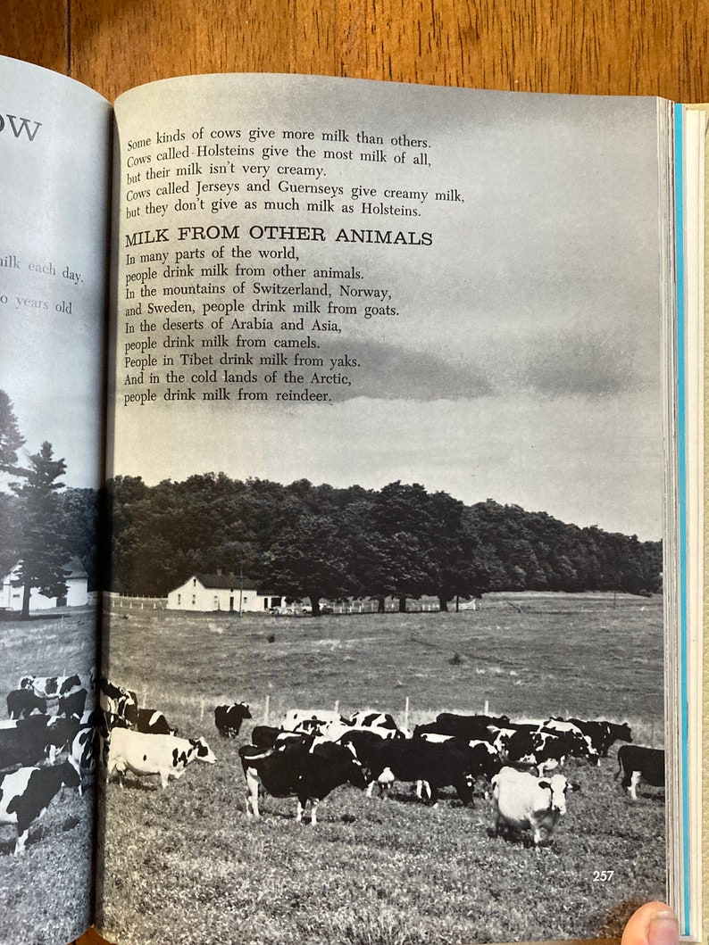 Puede incluir: Una fotograf&iacute;a en blanco y negro de una manada de vacas pastando en un campo. Las vacas est&aacute;n de pie en un campo de hierba con una granja blanca en el fondo. El texto "MILK FROM OTHER ANIMALS" est&aacute; impreso en negro sobre un fondo blanco.