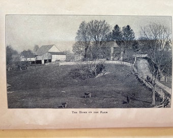 1915 book examines the math involved in running a farm just at the historical moment when tractors began to replace draught animals