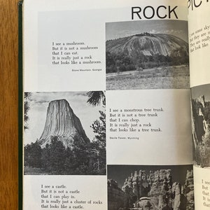 Puede incluir: Una fotograf&iacute;a en blanco y negro de una gran formaci&oacute;n rocosa que parece un hongo. El pie de foto dice: "Veo un hongo. Pero no es un hongo que pueda comer. Es realmente solo una roca que parece un hongo. Stone Mountain, Georgia"
