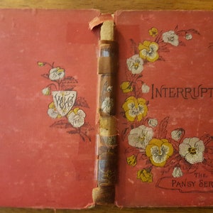 Isabella Alden wrote under the name &quot;Pansy&quot; in creating a wildly popular series  of novels about the importance of Christian values