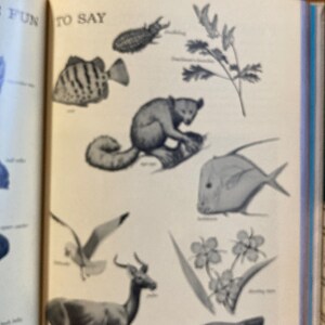 Puede incluir: Una p&aacute;gina ilustrada en blanco y negro de un libro con las palabras "Fun to Say" en la parte superior. La p&aacute;gina presenta varios animales y plantas, incluyendo un pez, un l&eacute;mur, un p&aacute;jaro, un ciervo y una flor.