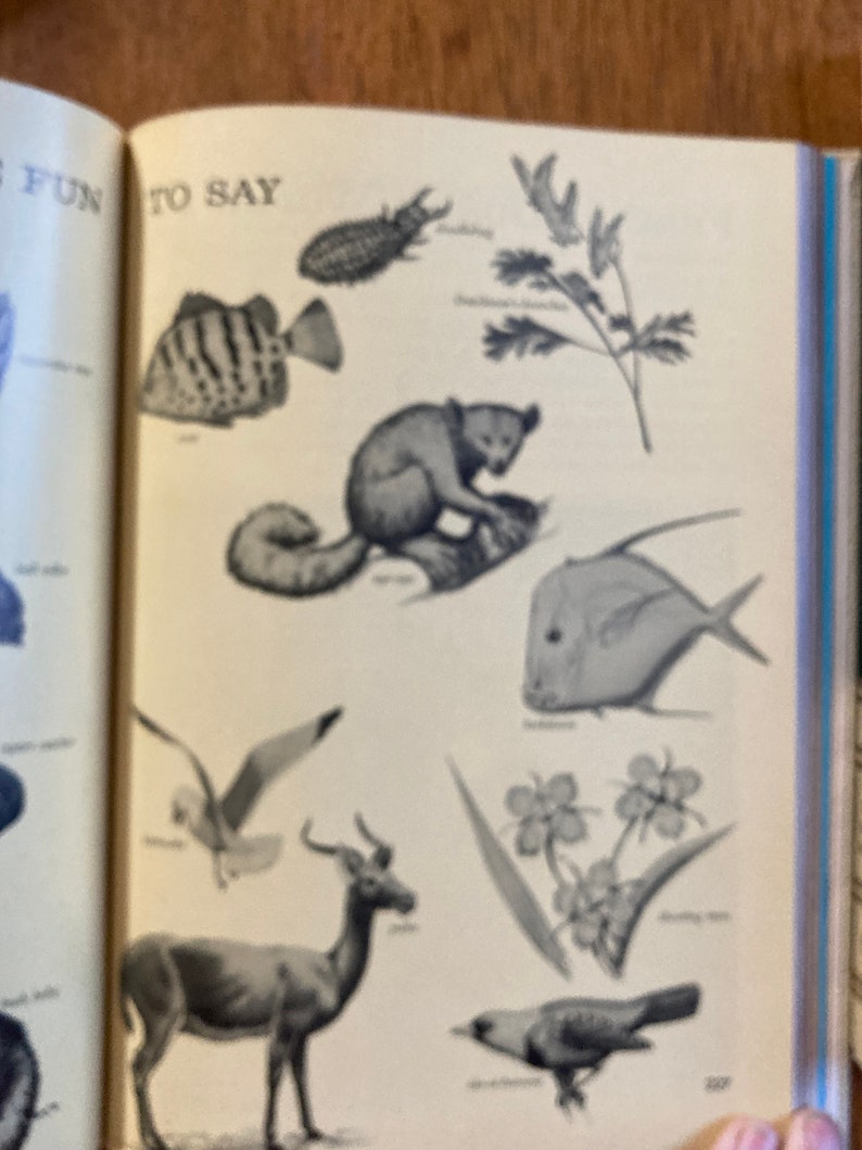 Puede incluir: Una p&aacute;gina ilustrada en blanco y negro de un libro con las palabras "Fun to Say" en la parte superior. La p&aacute;gina presenta varios animales y plantas, incluyendo un pez, un l&eacute;mur, un p&aacute;jaro, un ciervo y una flor.
