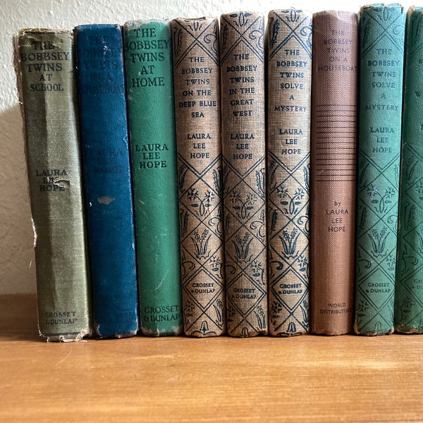 Lot of vintage Bobbsey Twins books  illustrated Helen Louise Thorndyke, a pseudonym for Joesphine Lawrence, a storyteller of the 1930s