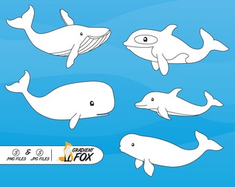 orca, Killer whale, Digital Stamp, Digital Stamps, Whale clipart, Whale graphics, killer whale clipart, orca clipart, dolphin whale coloring