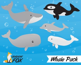 Whale Clipart Pack – Ocean Graphics, Under the Sea Illustration (Digital Download)