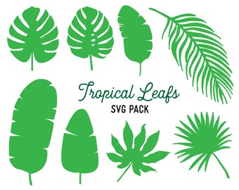 Leaf SVG Bundle - Monstera Clipart SVG Pack - Tropical Leaf Clipart - Descarga instantánea